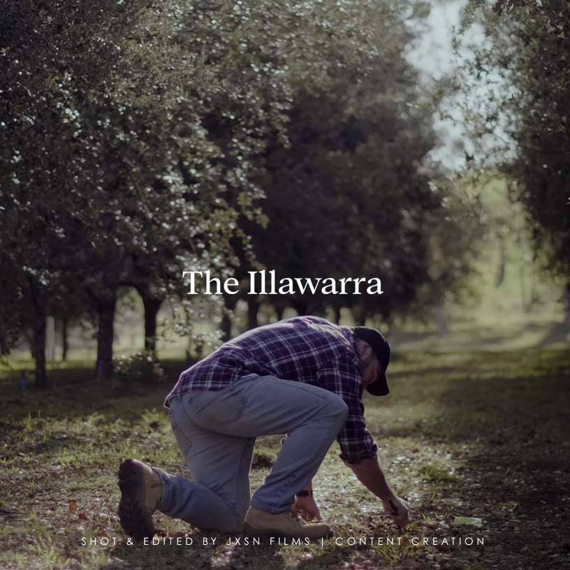 Sydney Videographer Content Creator | Jxsn Films